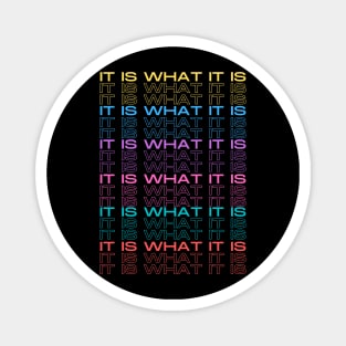 It is what it IS MultiColored Magnet